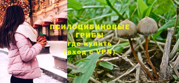 MESCALINE Алзамай